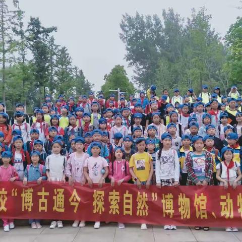 “博古通今，探索自然”——杜集中心校三四年级研学旅游走进合肥野生动物园、安徽省地质博物馆和安徽博物院