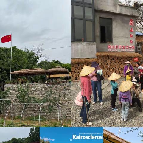 栗花飘香时——南山贝贝生态农场“栗花节”活动