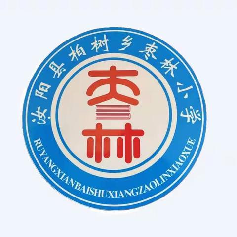【柏树乡枣林小学】跟岗学习促提升•携手共成长—赴第五实验小学跟岗学习心得（四）