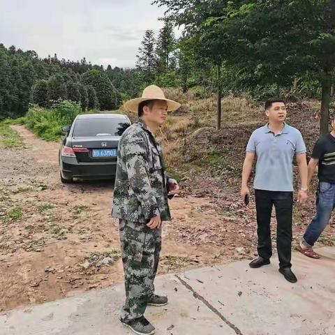 多措并举，层层压实——长山乡扎实开展山塘水库“逐塘”过关行动