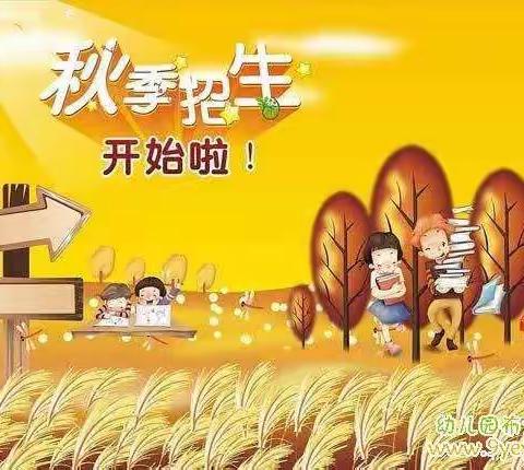 廖庙新起点实验幼儿园2019秋期招生开始啦！