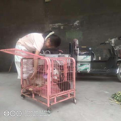 我的四年级暑期生活    崔雅涵