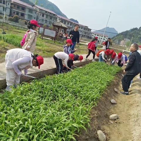 走近泥土 亲近自然