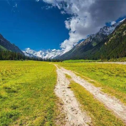 背包客新疆出行公告