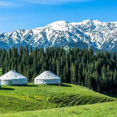 2021年7月21日我们一起去新疆吧