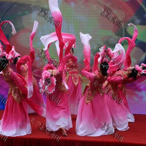 古典舞——国色天香【南宁K舞秀团】