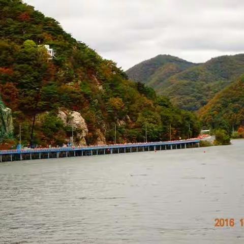 我的首次春川马拉松