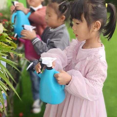 大一班10月区角活动《植物角》