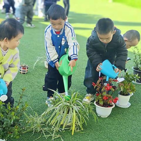 小一班《植物角》