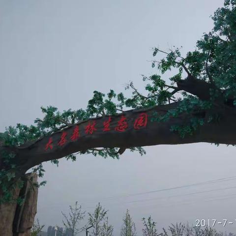 七月，约会一场浪漫