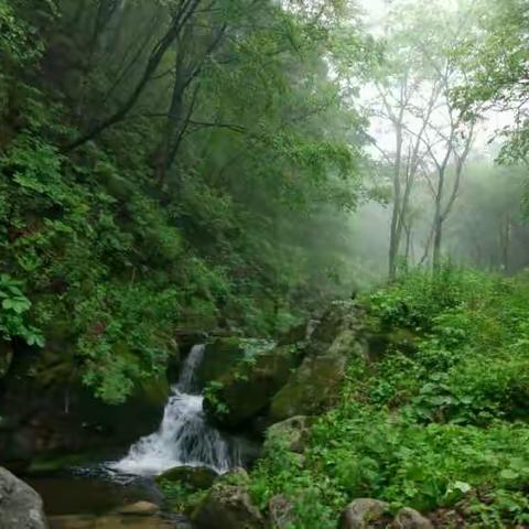 白云山，一次梦幻般的穿越。走进茂盛的森林，聆听溪水潺潺，花儿盛开，飞瀑倾泻。清新、暗香之歌。