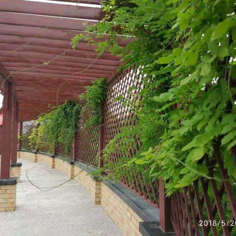 五月，一个浪漫的季节