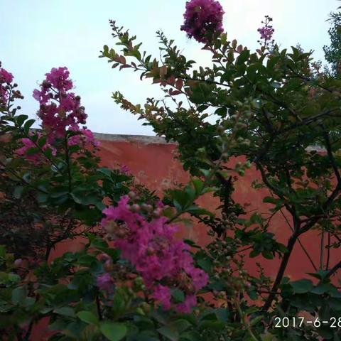 黄昏，点燃悠闲的烟