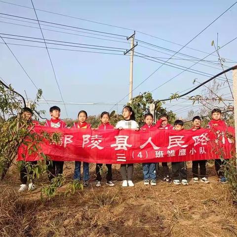 亲近自然，快乐采摘”鄢陵县人民路小学三4班雏鹰小队活动纪实