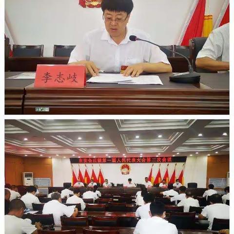 东安各庄镇召开第一届人民代表大会第二次会议