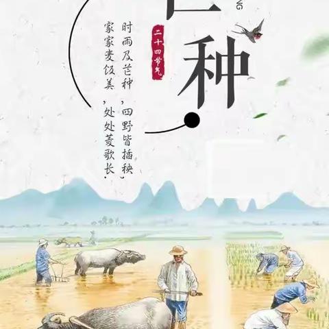 “风吹麦成浪 蝉鸣夏始忙”——奇台县第二小学二十四节气之“芒种”