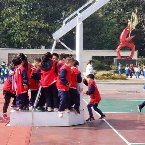 抓住初冬阳光的尾巴