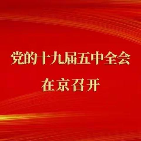 新湖总场幼儿园全体党员深入学习贯彻党的十九届五中全会精神