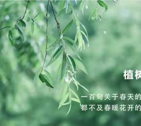 阅万千春色，种一片繁华–––魏都区实验学校三（2）班植树节活动