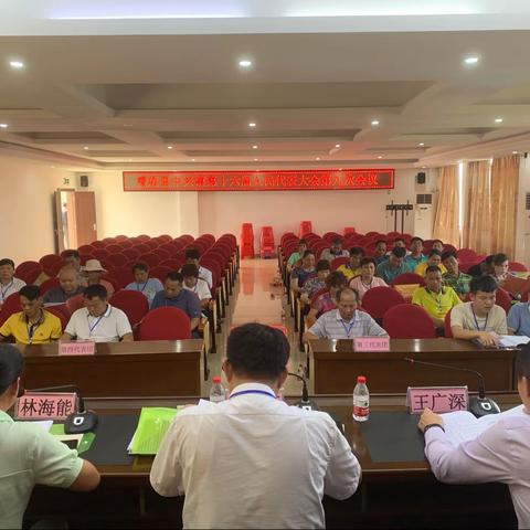 澄迈县中兴镇第十六届人民代表大会第九次会议顺利召开
