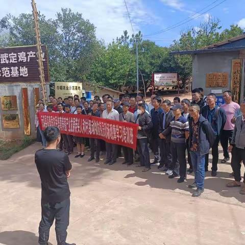 张宇的美篇