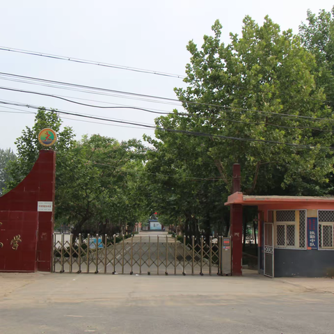 打造书香校园，让阅读给孩子“最美的陪伴”—贾镇中心小学开展学生自主阅读活动