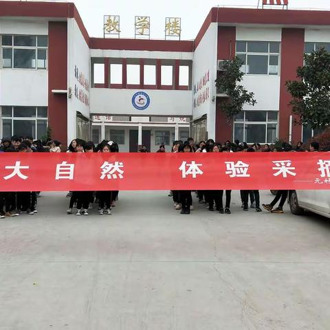走进大自然，体验采摘乐                               ——元村镇中学​研学实践活动