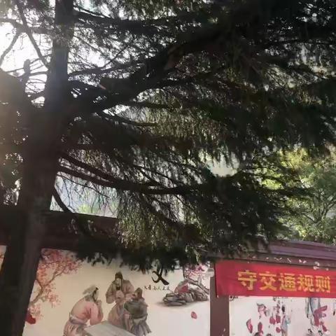 石湾学校第三届课间操比赛