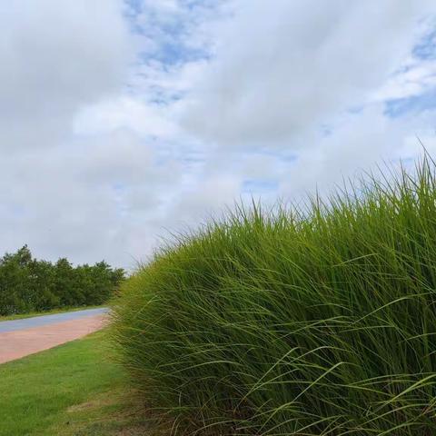 襄阳好风日 留醉与山翁