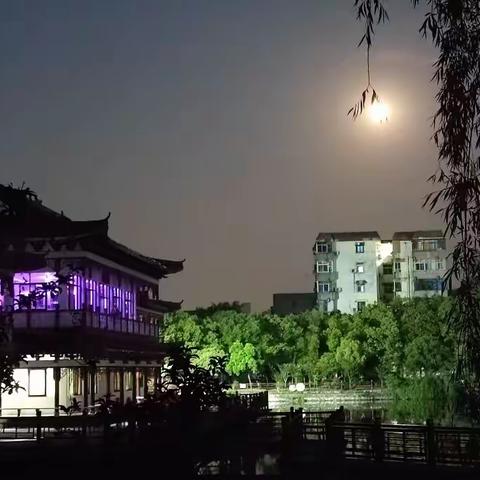 超级🌙玉盘