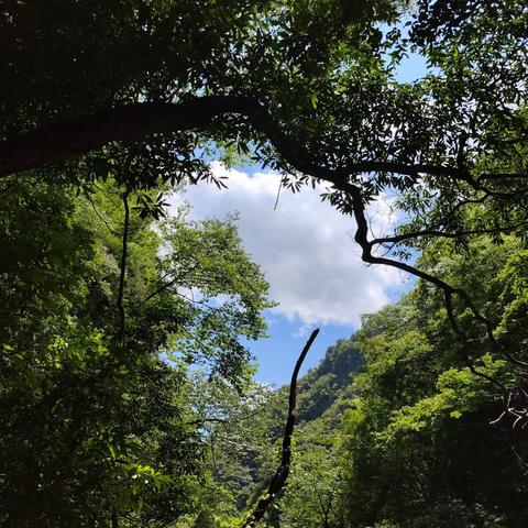 云雾缭绕---尧治河