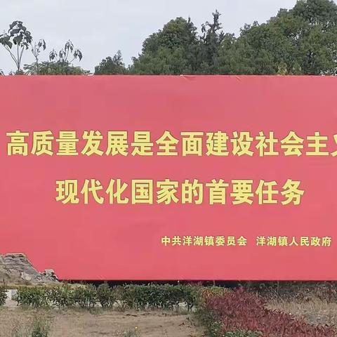 东至县洋湖镇多形式深入学习宣传贯彻党的二十大精神