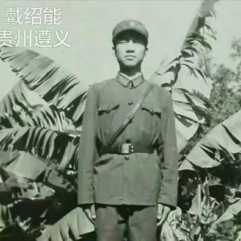 白石岩的《芳华》