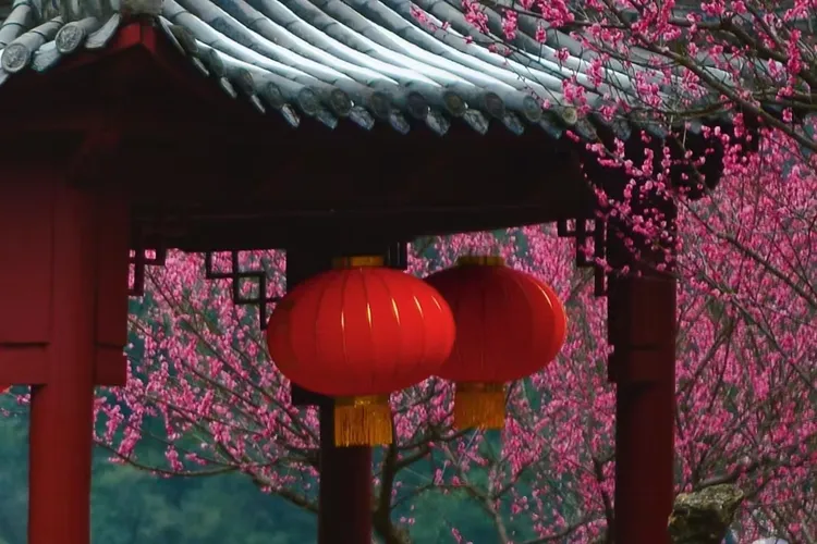 宜昌下牢溪梅园/藏着山水间的小美好