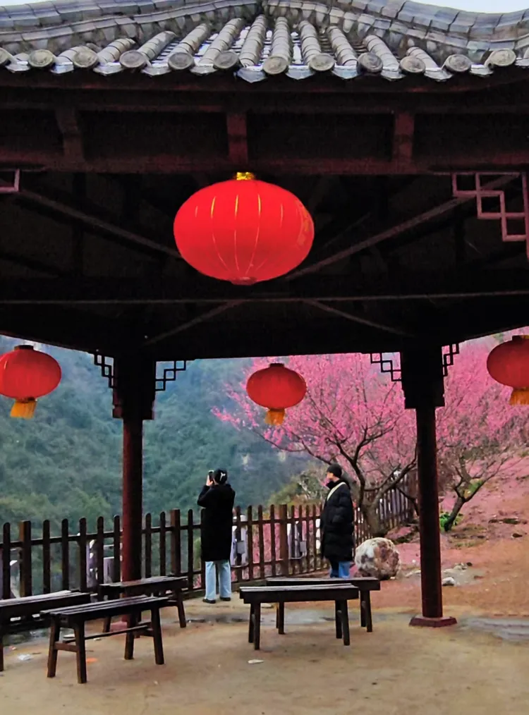 宜昌下牢溪梅园/藏着山水间的小美好