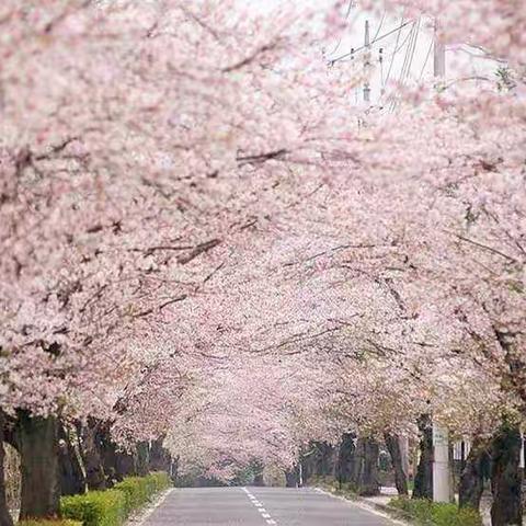 同心战“疫”  同“屏”共学