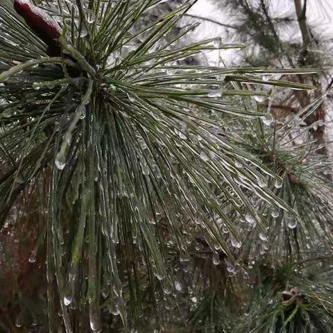 这个冬天不下雨