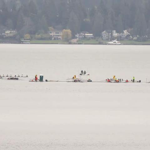 八人单浆赛艇赛