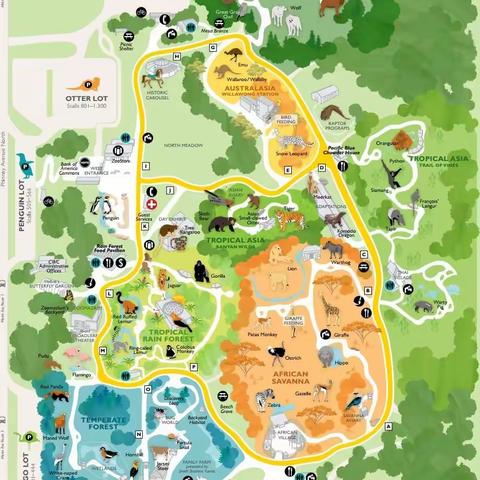 动物园拍野生动物（三）