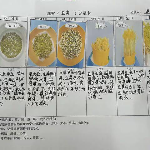 连续观察，用心记录----401班观察记录收集