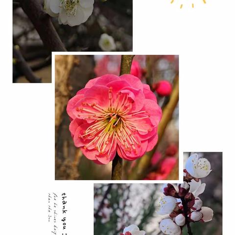 春风十里，不如教研有你