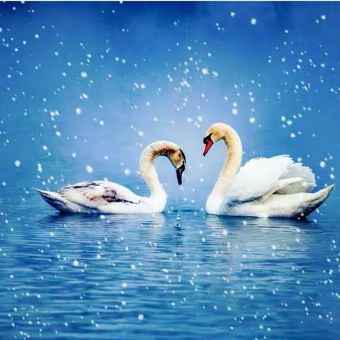 越过高山，越过平原，跨过奔腾的长江黄河！爱我中国——2020年走进丝绸之路夏令营