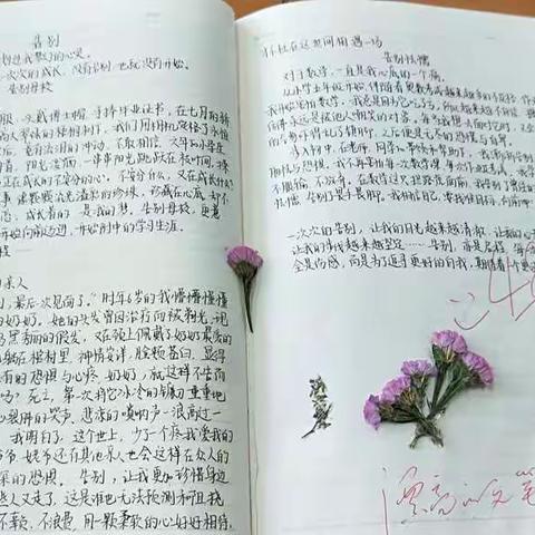 拼搏到无能为力 努力到感动自己