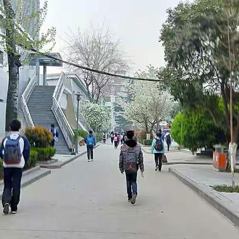 附中校园美如画，师生共创靓丽景