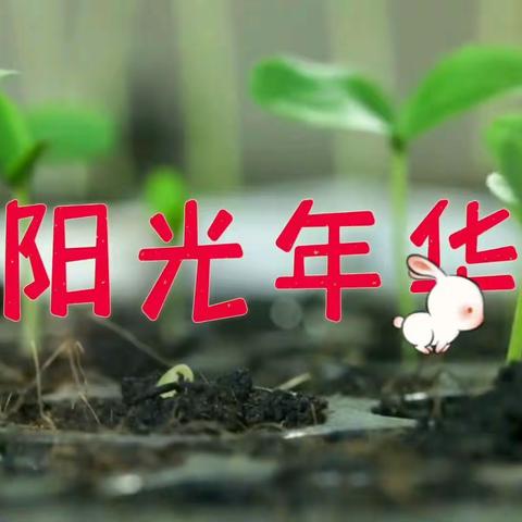 柔力球飞龙二套《阳光年华》