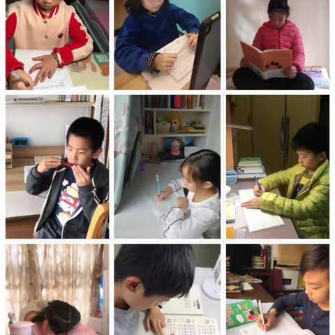 13600198116的美篇