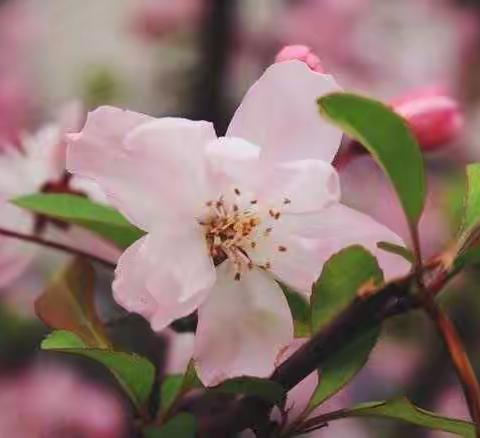 关于生死——写在清明