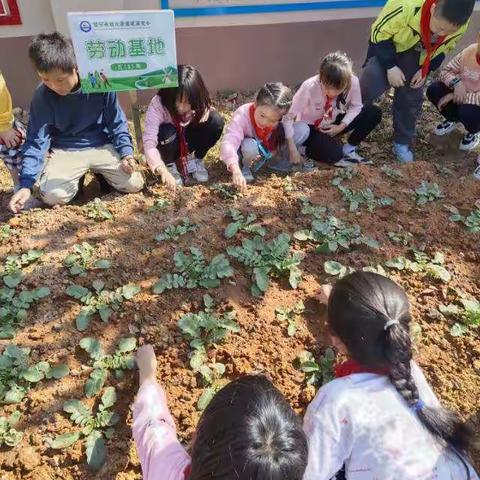 除草浇水，快乐劳动