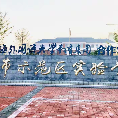 教师培训共成长，蓄势待发新征程——示范区实验学校小学部暑期教师培训纪实