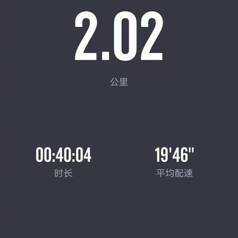 2023我的假期生活220336苗志华
